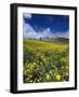 Landscape near San Juan-Guido Cozzi-Framed Photographic Print