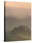 Landscape Near San Quirico D'Orcia, Tuscany, Italy, Europe-Patrick Dieudonne-Stretched Canvas