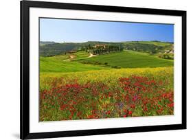 Landscape near San Quirico d'Orcia, Val d'Orca, Province of Siena, Tuscany, Italy-null-Framed Premium Giclee Print