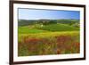 Landscape near San Quirico d'Orcia, Val d'Orca, Province of Siena, Tuscany, Italy-null-Framed Premium Giclee Print