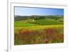 Landscape near San Quirico d'Orcia, Val d'Orca, Province of Siena, Tuscany, Italy-null-Framed Premium Giclee Print