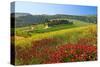 Landscape near San Quirico d'Orcia, Val d'Orca, Province of Siena, Tuscany, Italy-null-Stretched Canvas
