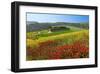 Landscape near San Quirico d'Orcia, Val d'Orca, Province of Siena, Tuscany, Italy-null-Framed Art Print