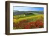 Landscape near San Quirico d'Orcia, Val d'Orca, Province of Siena, Tuscany, Italy-null-Framed Art Print