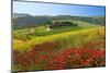 Landscape near San Quirico d'Orcia, Val d'Orca, Province of Siena, Tuscany, Italy-null-Mounted Art Print