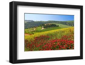 Landscape near San Quirico d'Orcia, Val d'Orca, Province of Siena, Tuscany, Italy-null-Framed Art Print