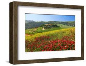 Landscape near San Quirico d'Orcia, Val d'Orca, Province of Siena, Tuscany, Italy-null-Framed Art Print