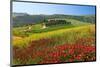 Landscape near San Quirico d'Orcia, Val d'Orca, Province of Siena, Tuscany, Italy-null-Mounted Art Print