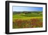 Landscape near San Quirico d'Orcia, Val d'Orca, Province of Siena, Tuscany, Italy-null-Framed Art Print