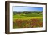 Landscape near San Quirico d'Orcia, Val d'Orca, Province of Siena, Tuscany, Italy-null-Framed Art Print