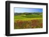 Landscape near San Quirico d'Orcia, Val d'Orca, Province of Siena, Tuscany, Italy-null-Framed Art Print