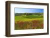 Landscape near San Quirico d'Orcia, Val d'Orca, Province of Siena, Tuscany, Italy-null-Framed Art Print