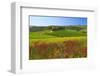 Landscape near San Quirico d'Orcia, Val d'Orca, Province of Siena, Tuscany, Italy-null-Framed Art Print