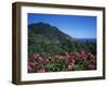 Landscape Near Sao Roque Do Faial, Island of Madeira, Portugal, Atlantic-Hans Peter Merten-Framed Photographic Print