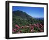 Landscape Near Sao Roque Do Faial, Island of Madeira, Portugal, Atlantic-Hans Peter Merten-Framed Photographic Print