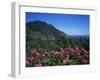 Landscape Near Sao Roque Do Faial, Island of Madeira, Portugal, Atlantic-Hans Peter Merten-Framed Photographic Print