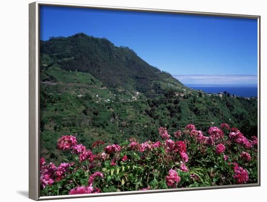 Landscape Near Sao Roque Do Faial, Island of Madeira, Portugal, Atlantic-Hans Peter Merten-Framed Photographic Print