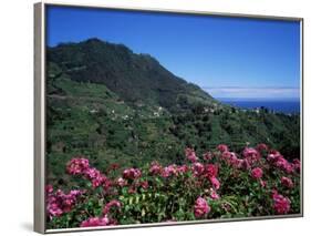 Landscape Near Sao Roque Do Faial, Island of Madeira, Portugal, Atlantic-Hans Peter Merten-Framed Photographic Print