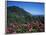 Landscape Near Sao Roque Do Faial, Island of Madeira, Portugal, Atlantic-Hans Peter Merten-Framed Photographic Print