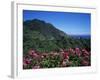 Landscape Near Sao Roque Do Faial, Island of Madeira, Portugal, Atlantic-Hans Peter Merten-Framed Photographic Print