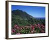 Landscape Near Sao Roque Do Faial, Island of Madeira, Portugal, Atlantic-Hans Peter Merten-Framed Photographic Print