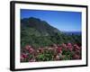 Landscape Near Sao Roque Do Faial, Island of Madeira, Portugal, Atlantic-Hans Peter Merten-Framed Photographic Print