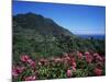 Landscape Near Sao Roque Do Faial, Island of Madeira, Portugal, Atlantic-Hans Peter Merten-Mounted Photographic Print