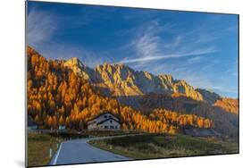 Landscape near Sella Di Razzo and Sella Di Rioda Pass, Carnic Alps, Friuli-Venezia Giulia, Italy-phbcz-Mounted Photographic Print