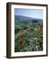 Landscape Near Shiraz, Iran, Middle East-Robert Harding-Framed Photographic Print