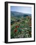 Landscape Near Shiraz, Iran, Middle East-Robert Harding-Framed Photographic Print