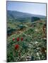 Landscape Near Shiraz, Iran, Middle East-Robert Harding-Mounted Photographic Print