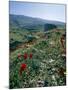 Landscape Near Shiraz, Iran, Middle East-Robert Harding-Mounted Photographic Print