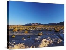 Landscape near the Villa Mar village at sunset, Nor Lipez Province, Potosi Department, Bolivia, Sou-Karol Kozlowski-Stretched Canvas