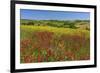 Landscape near Volterra in Spring, Province of Pisa, Tuscany, Italy-null-Framed Art Print