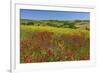 Landscape near Volterra in Spring, Province of Pisa, Tuscany, Italy-null-Framed Art Print