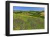 Landscape near Volterra in Spring, Province of Pisa, Tuscany, Italy-null-Framed Art Print