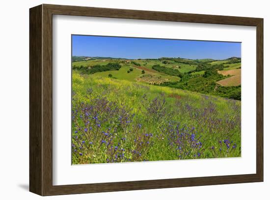 Landscape near Volterra in Spring, Province of Pisa, Tuscany, Italy-null-Framed Art Print