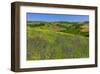 Landscape near Volterra in Spring, Province of Pisa, Tuscany, Italy-null-Framed Art Print