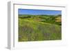 Landscape near Volterra in Spring, Province of Pisa, Tuscany, Italy-null-Framed Art Print