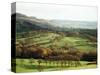 Landscape Near Wincle, Cheshire, England, United Kingdom-Jonathan Hodson-Stretched Canvas