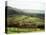 Landscape Near Wincle, Cheshire, England, United Kingdom-Jonathan Hodson-Stretched Canvas