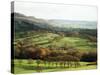 Landscape Near Wincle, Cheshire, England, United Kingdom-Jonathan Hodson-Stretched Canvas