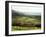 Landscape Near Wincle, Cheshire, England, United Kingdom-Jonathan Hodson-Framed Photographic Print