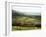 Landscape Near Wincle, Cheshire, England, United Kingdom-Jonathan Hodson-Framed Photographic Print