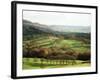 Landscape Near Wincle, Cheshire, England, United Kingdom-Jonathan Hodson-Framed Photographic Print