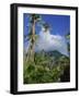 Landscape, Nevis, Leeward Islands, West Indies, Caribbean, Central America-Miller John-Framed Photographic Print