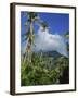 Landscape, Nevis, Leeward Islands, West Indies, Caribbean, Central America-Miller John-Framed Photographic Print