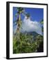 Landscape, Nevis, Leeward Islands, West Indies, Caribbean, Central America-Miller John-Framed Photographic Print