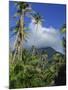 Landscape, Nevis, Leeward Islands, West Indies, Caribbean, Central America-Miller John-Mounted Photographic Print