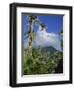 Landscape, Nevis, Leeward Islands, West Indies, Caribbean, Central America-Miller John-Framed Photographic Print